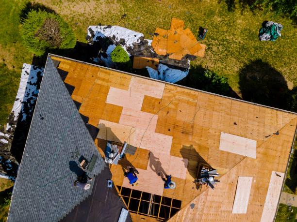 Best Roof Gutter Cleaning  in Fourche Crossing, LA